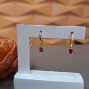 Argola Dourada Tranqueta Pedra Retangular Color